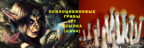 бошки Зерноград